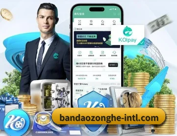 半岛综合 APP 深度功能
